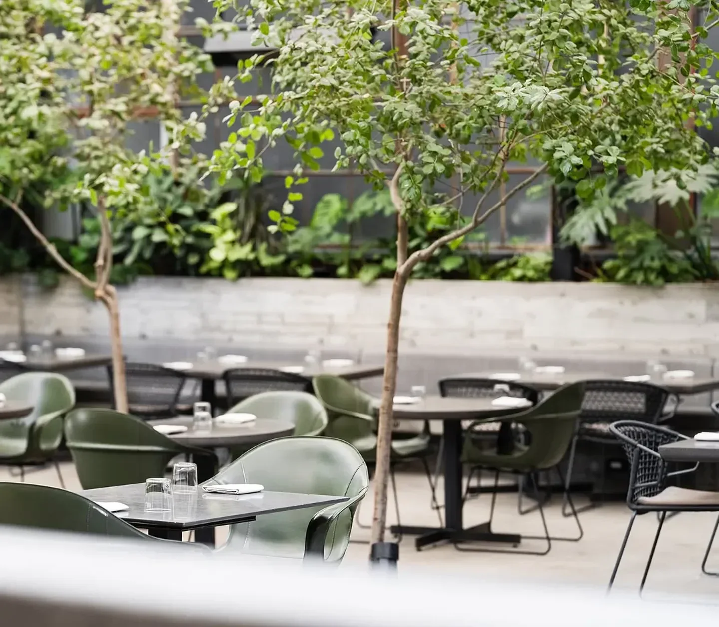 Outdoor seating at Damian restaurant in Los Angeles with lush greenery and modern design
