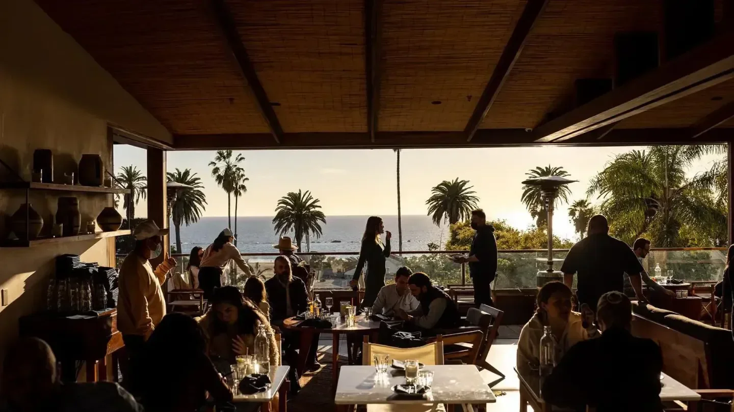 Dining at Elephante in Los Angeles with ocean views and palm trees at sunset.