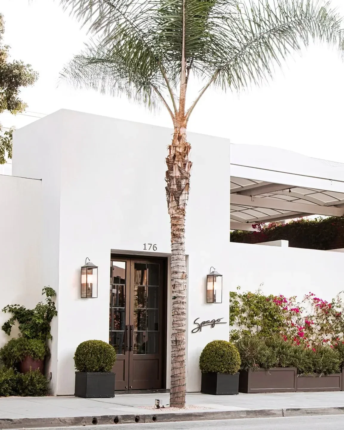 Exterior of Spago in Los Angeles, featuring palm tree and elegant entrance.