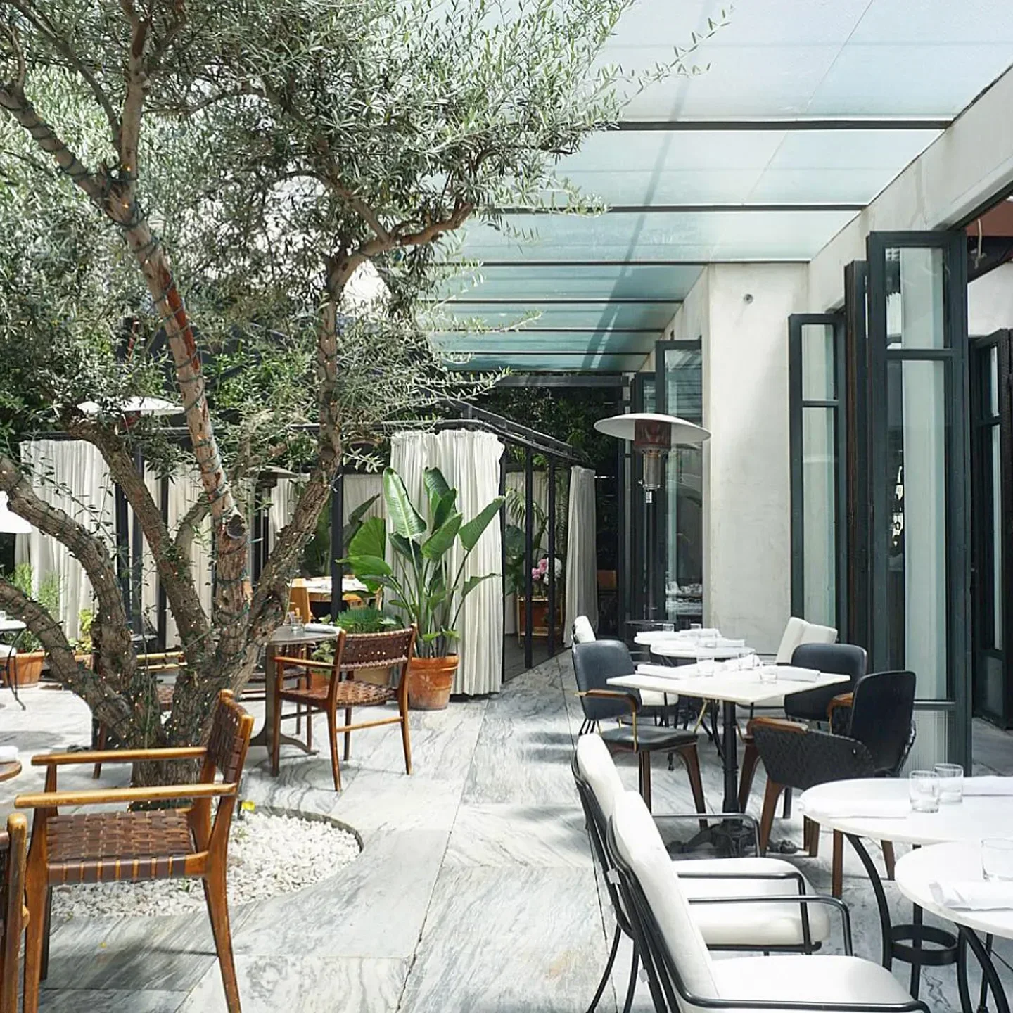 Outdoor dining area at Ysabel restaurant in Los Angeles with olive tree and stylish seating.